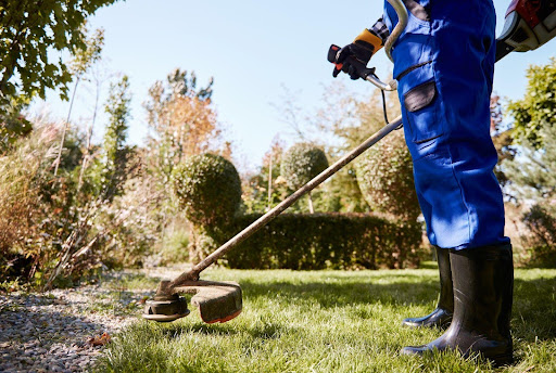 Garden Cleaning