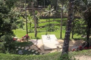 outside_garden
