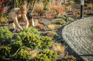 landscape_maintenance_02