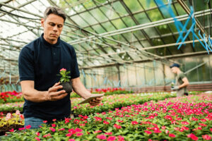 Quality control inspector using digital tablet while examining flowers in a greenhouse.
