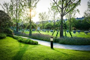 Landscaping and Irrigation Services in Dubai | RIGHT CHOICE