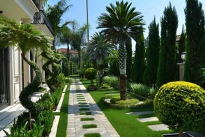 best outdoor plant for Dubai / right choice landscape