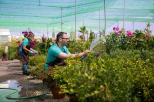 Landscaping and Irrigation Services in Dubai | RIGHT CHOICE
