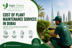 Landscaping and Irrigation Services in Dubai | RIGHT CHOICE