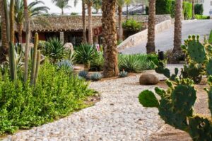 Premium_Landscaping_Pebbles