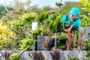 villa_landscape_maintenance