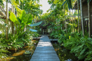 outdoor_landscape